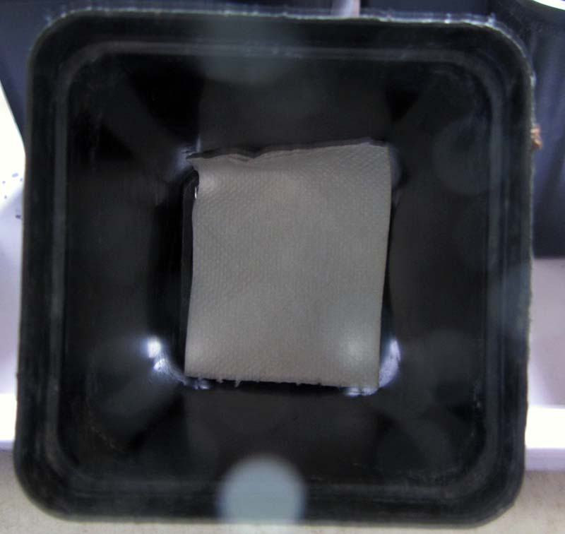 Auf dem Boden eines Töpfchens liegt ein Blatt Klopapier und verdeckt die Löcher