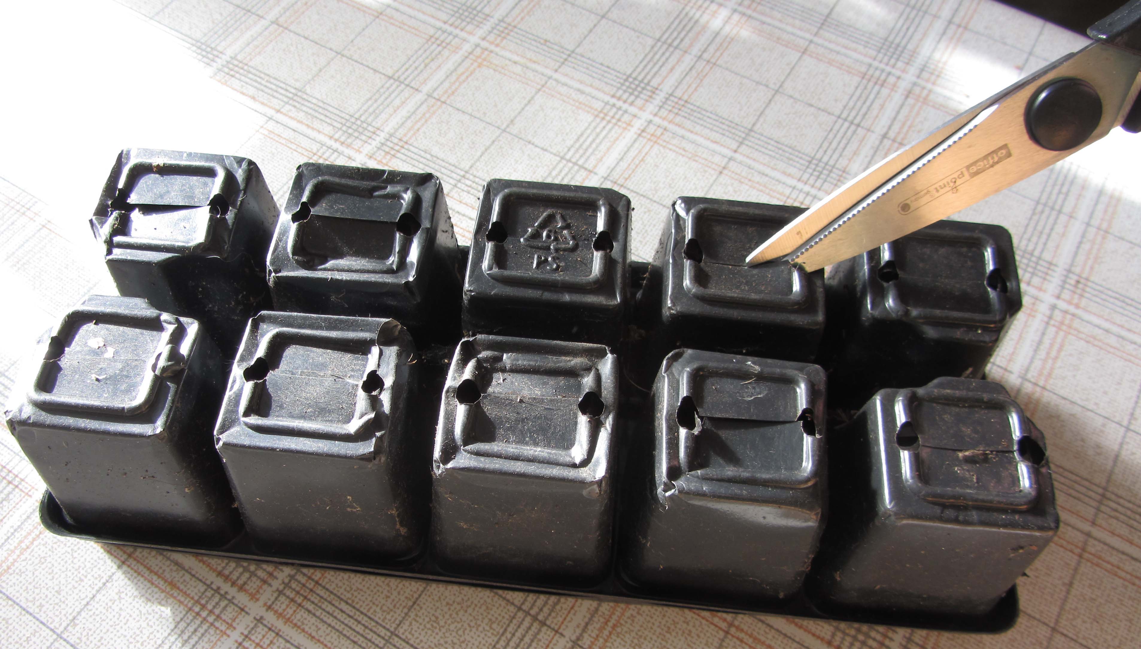 Backside of the tray bottom with the scissors cutting it